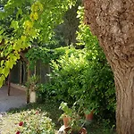 Il Solaio