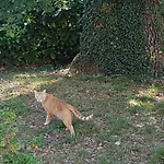 Bauernhof Il Solaio Rapolano Terme