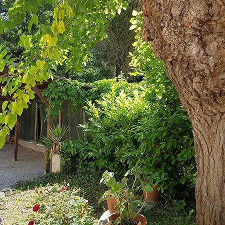Il Solaio